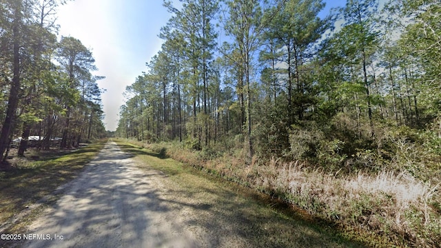 10675 Delgado Ave, Hastings, FL 32145 - photo 2