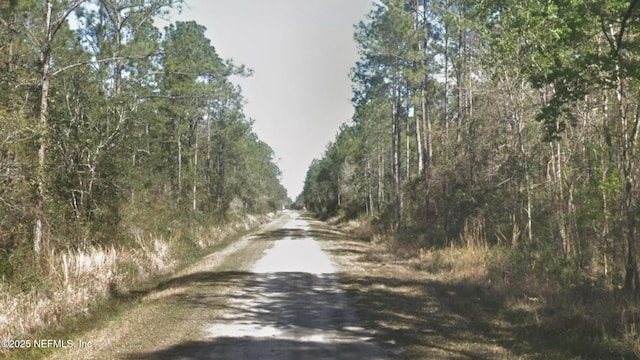 10675 Delgado Ave, Hastings, FL 32145 - photo 4
