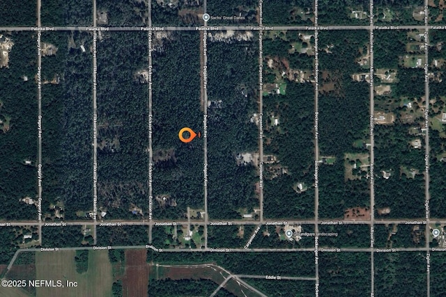 10675 Delgado Ave, Hastings, FL 32145 - photo 9