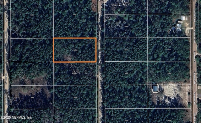 10675 Delgado Ave, Hastings, FL 32145 - photo 10