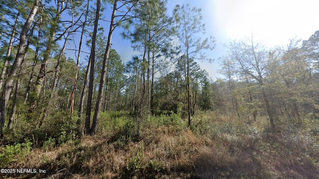0 Erickson Ave, Hastings, FL 32145 - photo 1