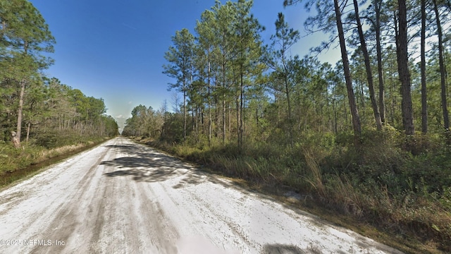 0 Erickson Ave, Hastings, FL 32145 - photo 2