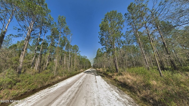 0 Erickson Ave, Hastings, FL 32145 - photo 3