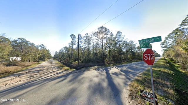 0 Erickson Ave, Hastings, FL 32145 - photo 5