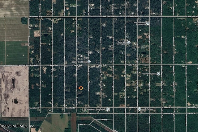 0 Erickson Ave, Hastings, FL 32145 - photo 8