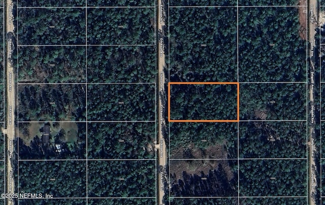 0 Erickson Ave, Hastings, FL 32145 - photo 9
