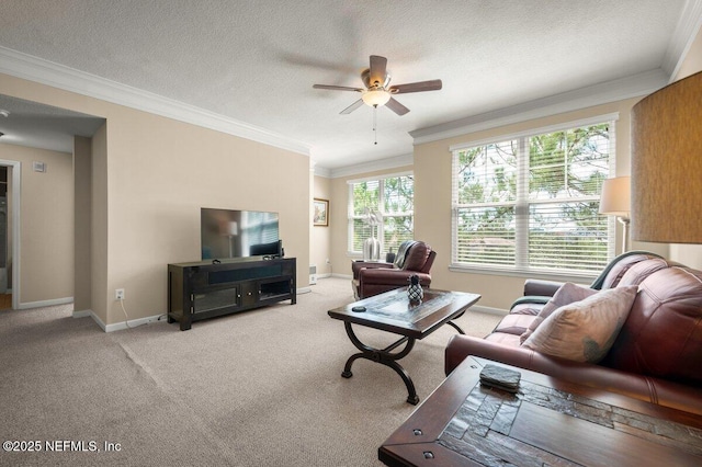 10435 Midtown Pkwy Unit 404, Jacksonville, FL 32246 - photo 8