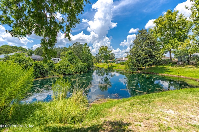 12619 Fish Hawk Ln, Jacksonville, FL 32225 - photo 36