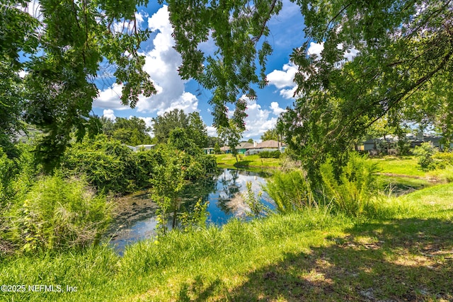 12619 Fish Hawk Ln, Jacksonville, FL 32225 - photo 37