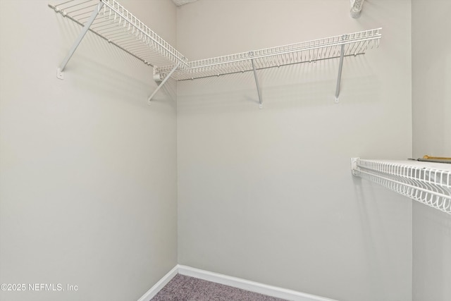 3910 Meadowview Dr N, Jacksonville, FL 32225 - photo 12