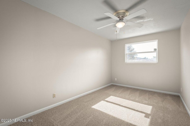 1185 Palisades Dr, Jacksonville, FL 32221 - photo 24