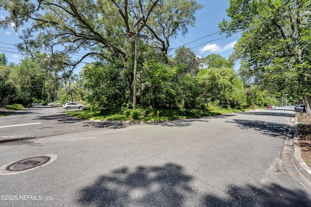 1762 Pinegrove Ave, Jacksonville, FL 32205 - photo 21