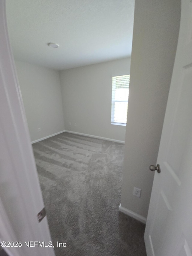 15242 Robert Ave, Jacksonville, FL 32218 - photo 33
