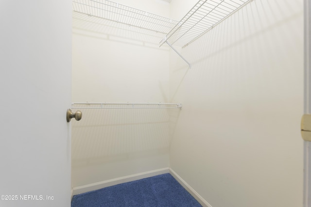85 Debarry Ave Unit 3021, Orange Park, FL 32073 - photo 21