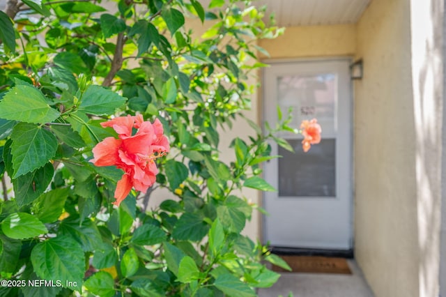 3960 A1A S Unit 520, Saint Augustine Beach, FL 32080 - photo 1