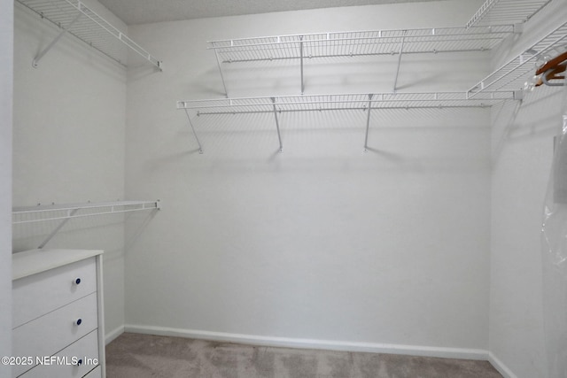 806 Cherry St, Neptune Beach, FL 32266 - photo 36