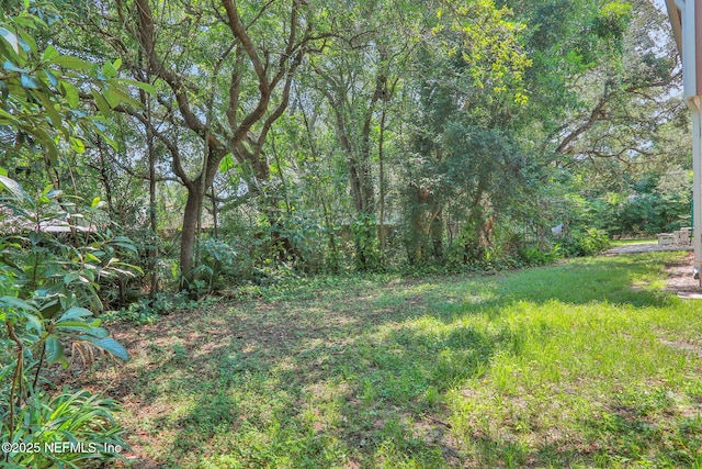 806 Cherry St, Neptune Beach, FL 32266 - photo 50