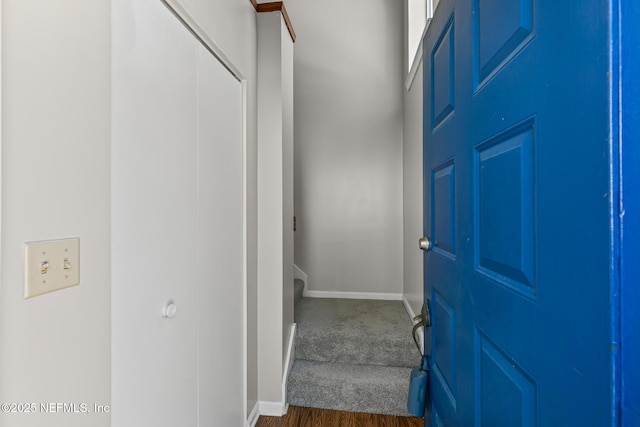 3270 Ricky Dr Unit 2102, Jacksonville, FL 32223 - photo 4