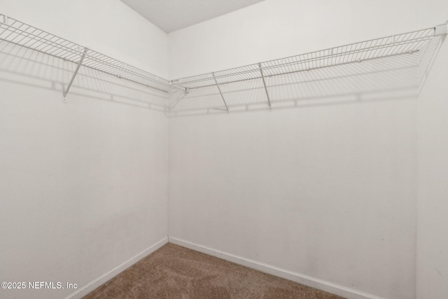 10231 Normandy Cove St, Jacksonville, FL 32221 - photo 21