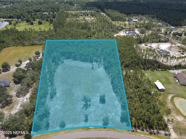 16310 Deacon Dr, Bryceville, FL 32009 - photo 1