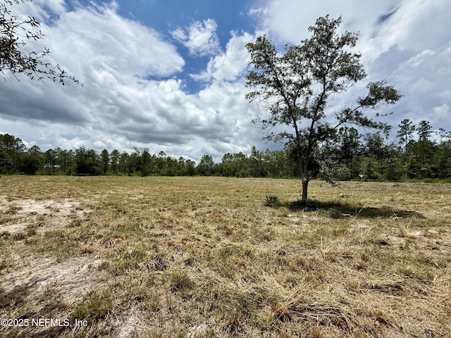 16310 Deacon Dr, Bryceville, FL 32009 - photo 3