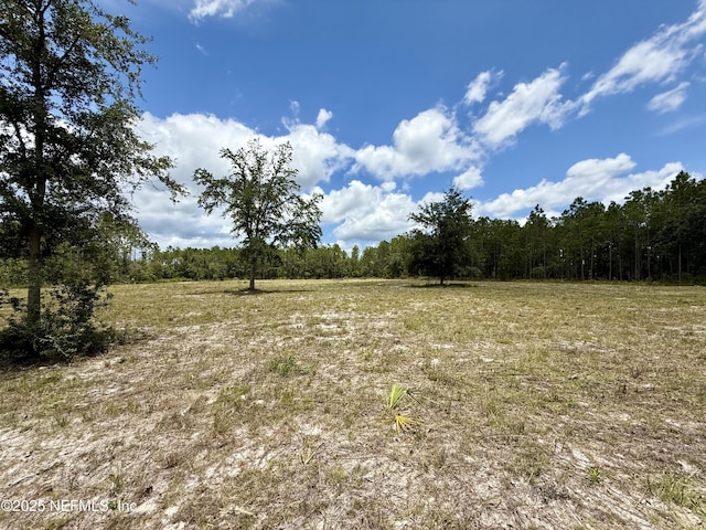 16310 Deacon Dr, Bryceville, FL 32009 - photo 4