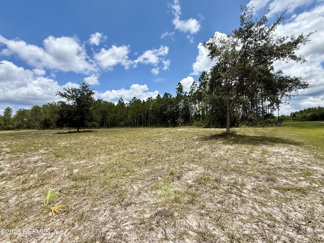 16310 Deacon Dr, Bryceville, FL 32009 - photo 5