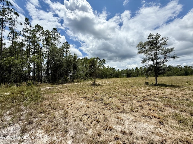 16310 Deacon Dr, Bryceville, FL 32009 - photo 6