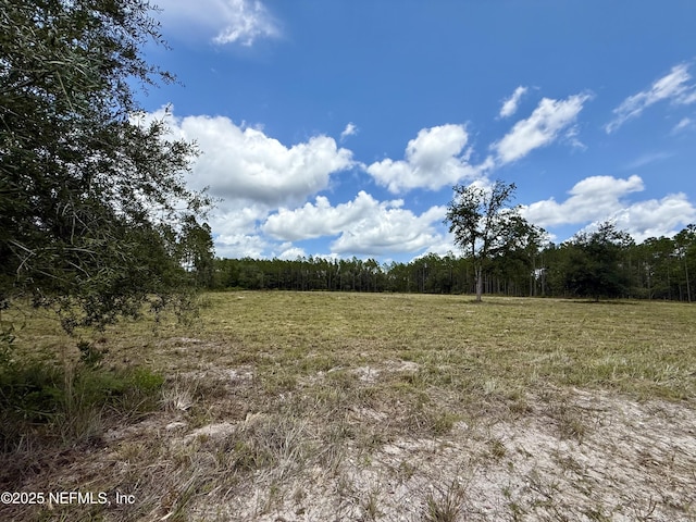 16310 Deacon Dr, Bryceville, FL 32009 - photo 7