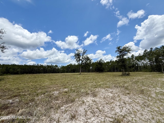 16310 Deacon Dr, Bryceville, FL 32009 - photo 8