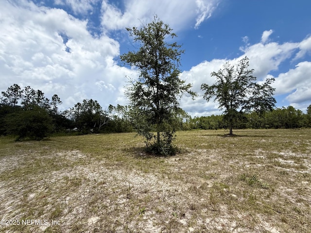 16310 Deacon Dr, Bryceville, FL 32009 - photo 9
