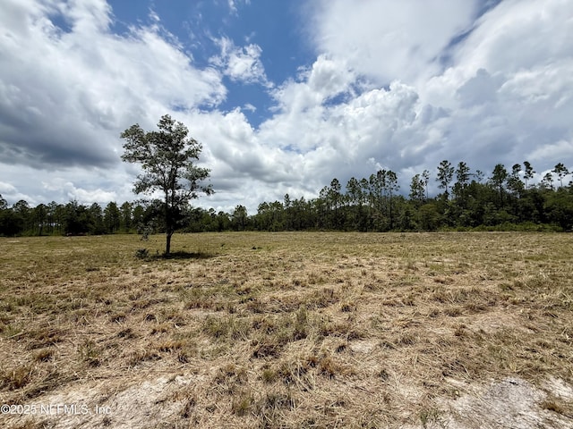 16310 Deacon Dr, Bryceville, FL 32009 - photo 10