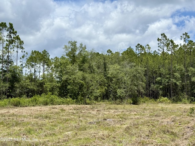 16310 Deacon Dr, Bryceville, FL 32009 - photo 11