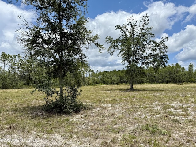 16310 Deacon Dr, Bryceville, FL 32009 - photo 12