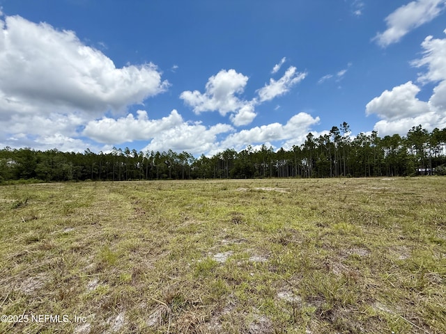 16310 Deacon Dr, Bryceville, FL 32009 - photo 13