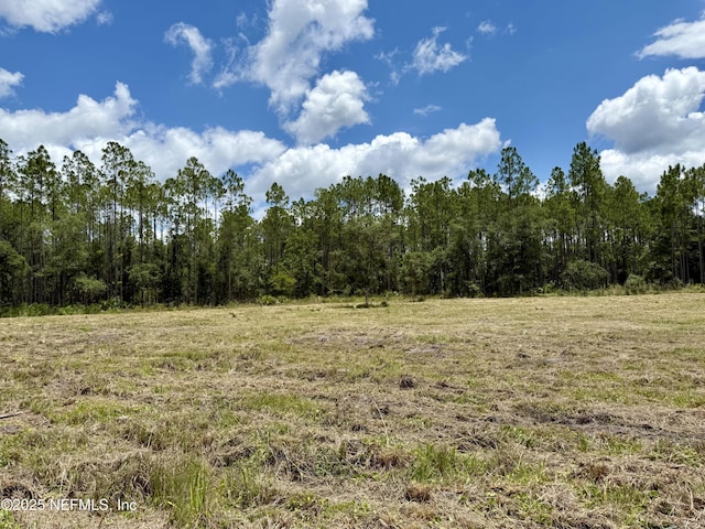 16310 Deacon Dr, Bryceville, FL 32009 - photo 14