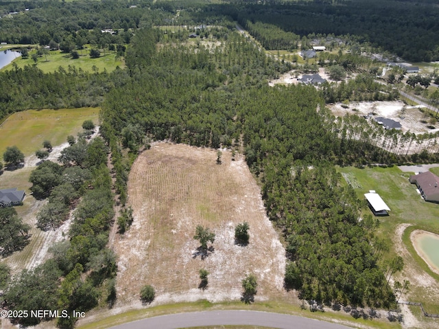 16310 Deacon Dr, Bryceville, FL 32009 - photo 15
