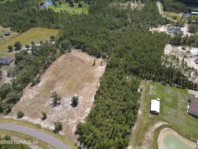 16310 Deacon Dr, Bryceville, FL 32009 - photo 16