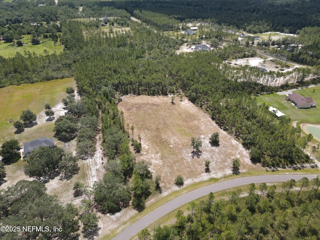 16310 Deacon Dr, Bryceville, FL 32009 - photo 17