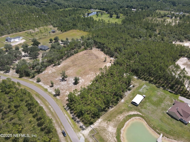 16310 Deacon Dr, Bryceville, FL 32009 - photo 18