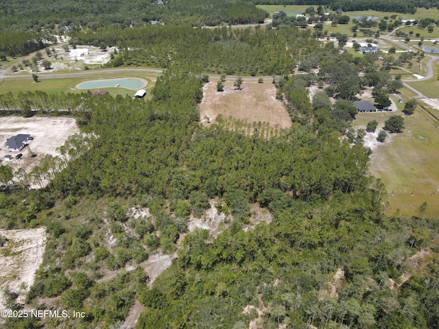 16310 Deacon Dr, Bryceville, FL 32009 - photo 20