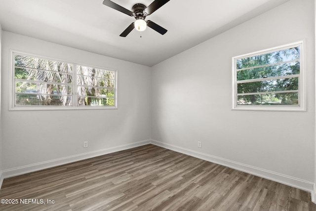 7629 Mayapple Ct, Jacksonville, FL 32211 - photo 13