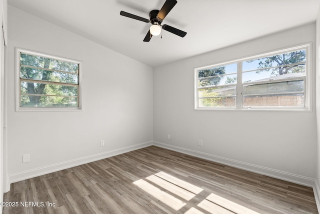 7629 Mayapple Ct, Jacksonville, FL 32211 - photo 14