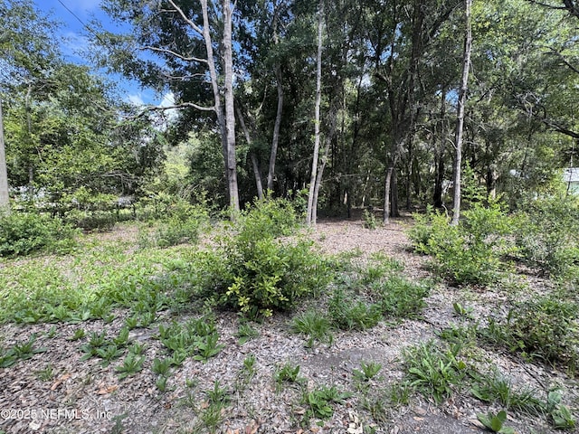 157 E Cowpen Lake Point Rd, Hawthorne, FL 32640 - photo 4