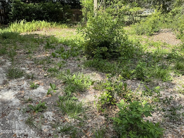 157 E Cowpen Lake Point Rd, Hawthorne, FL 32640 - photo 6