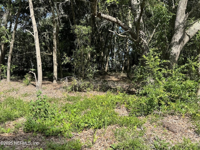 157 E Cowpen Lake Point Rd, Hawthorne, FL 32640 - photo 7
