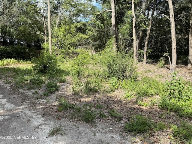 157 E Cowpen Lake Point Rd, Hawthorne, FL 32640 - photo 8