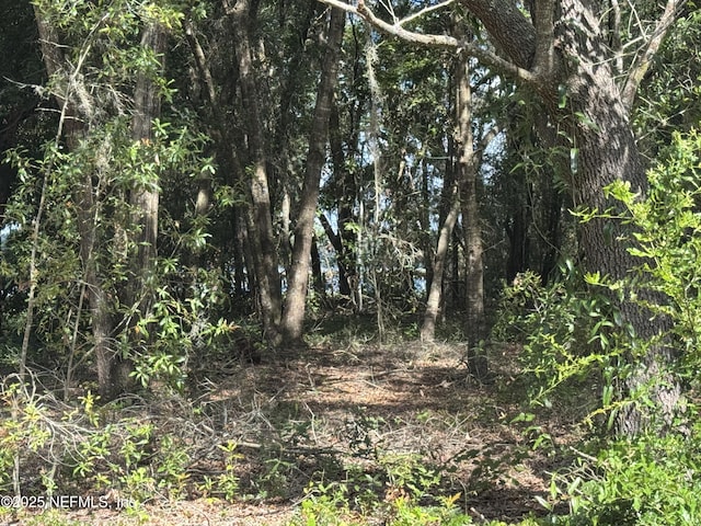 157 E Cowpen Lake Point Rd, Hawthorne, FL 32640 - photo 1