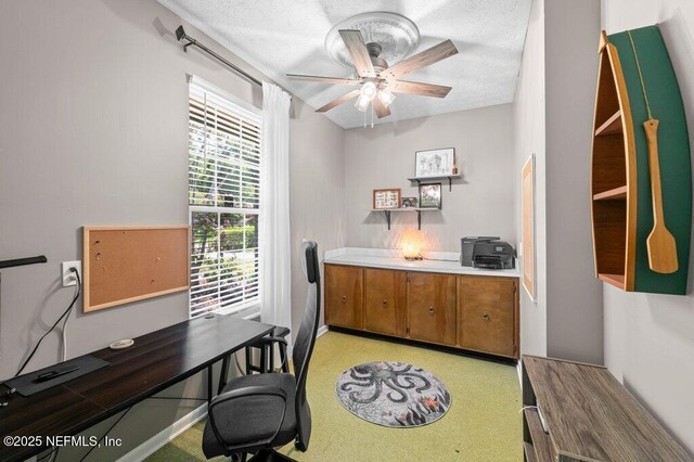 3520 Sandburg Rd, Jacksonville, FL 32277 - photo 20