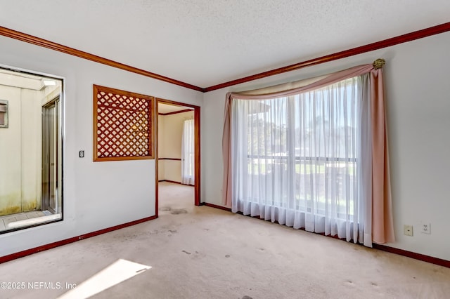 8203 Cutter Pl, Jacksonville, FL 32216 - photo 5